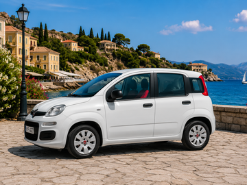 Cars: Fiat Panda 8
