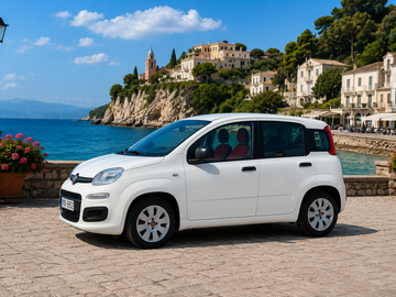 Cars: Fiat Panda 1