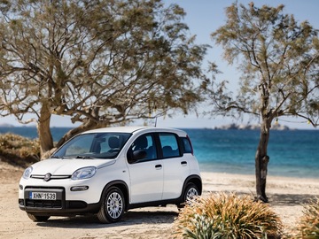 Cars: Fiat Panda 